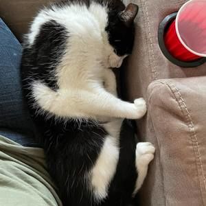 Meet your Posher, Carla